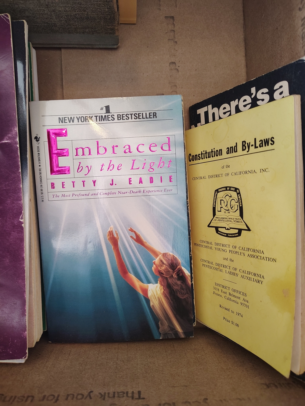 Embraced by the Light - (Pink)